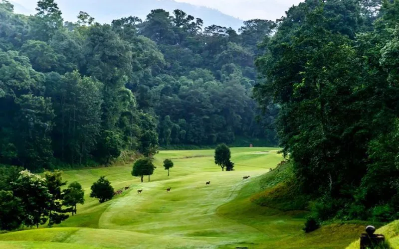 Parco Jungla